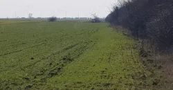 Vindem Teren intravilan Șoseaua Arad-Timișoara | Destinație industrială 700 metri liniari